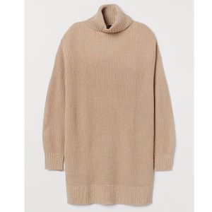 Knit Turtleneck Dress